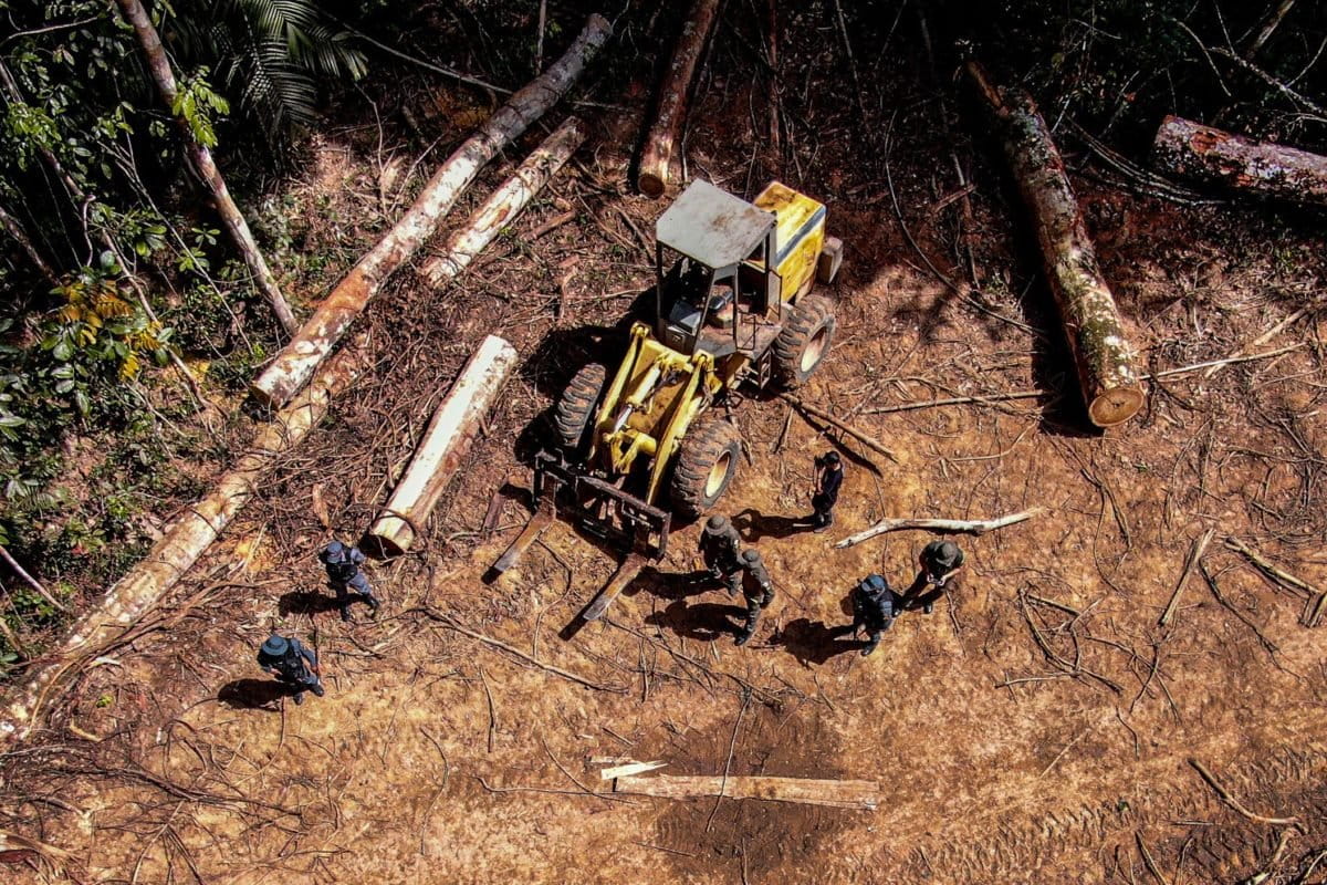 In Brazil&rsquo;s Mato Grosso state, deforesters foot the bill for political campaigns